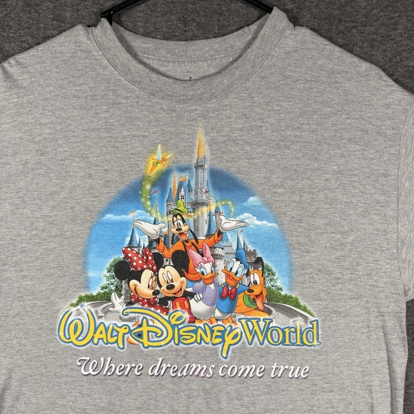 Disney Other - Walt Disney World Shirt Medium Gray Mickey Minnie Castle Dreams Come True Hanes